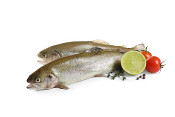 Raw cutthroat trout fish with cherry tomatoes, lime and spices isolated on white