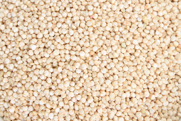 Quinoa grain