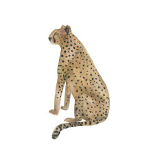 Watercolor painting a gepard. Africa collection © ramiia