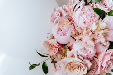 fresh bright blooming peonies flowers with dew drops on petals