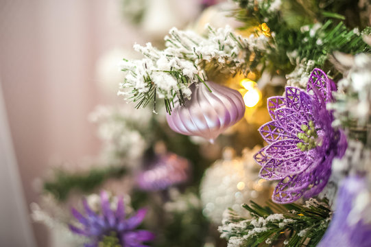 Background from a Christmas tree decorated in blue and purple close-up. Greeting card from a Christmas tree with purple decorations and copy space.