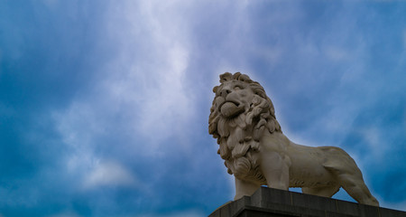 Lion on Top of the World