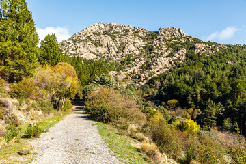 Fototapeta na wymiar landscape of granite blocks in the natural area of La Pedriza near Madrid, Spain