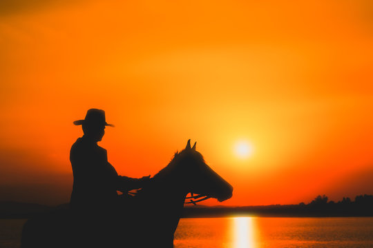 Silhouette Cowboy and  horse with sunset.