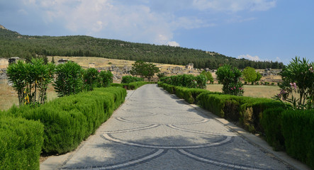 Fototapeta na wymiar A pathway in Pamukkale (Cotton Castle) captured with plants nearby.