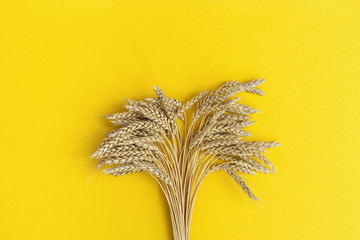 Ripe wheat on yellow paper background. Harvest time. Spike of wheat close up. Minimal flat lay with...