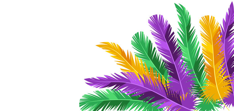 Card with feathers in Mardi Gras colors.