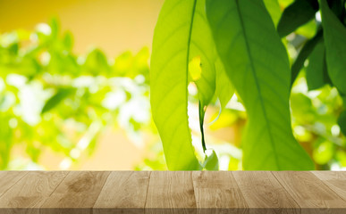wood on table background leaf with the light of the sun.used for display or montage products.