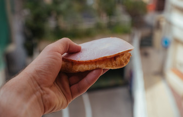 Tasty Sandwich with ham and salad in the hand