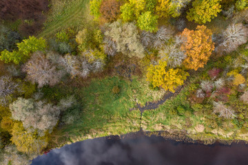 Forest in autumn colors. Colored trees and a meandering blue river. Red, yellow, orange, green deciduous trees in fall. Koiva national park, Latvia, Europe