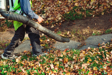Man using leaf blower for cleaning of the road in the park. Autumn season. Park cleaning service