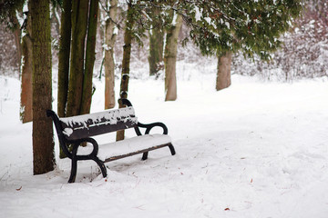 Park bench covered by snow in winter. Snowy cold weather. Winter morning after snowfall
