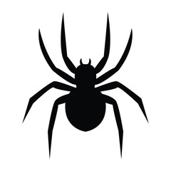 Spider silhouette vector