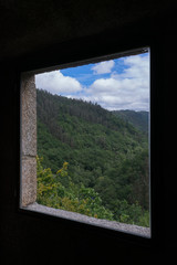 open window in stone wall that shows the forest
