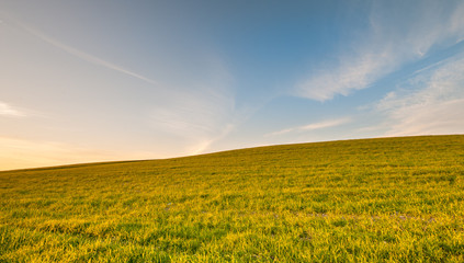 Green field and Blue cloudy Sky Environment