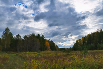 Autumn forest on a background of cloudy cloudy sky.