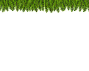 Fir Tree Border Isolated White Background