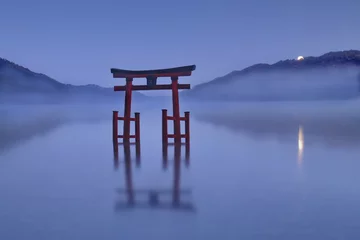 Fototapeten Torii nach Vorbild eines Schreins in Japan, Asien © Andreas P
