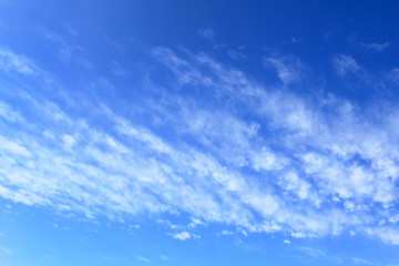 Naklejka na ściany i meble Blue sky and early autumn clouds
