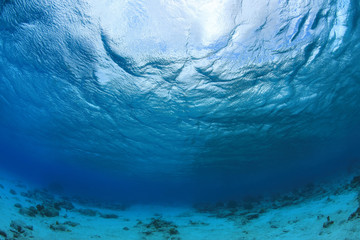 Sea floor and water surface