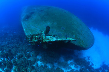 Shipwreck of the Hilma Hooker