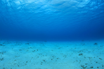 Sea floor and water surface