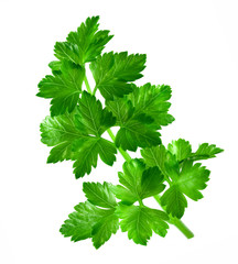 .parsley on a white background