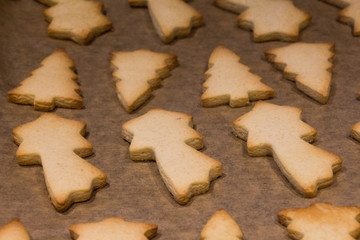 Baking Christmas Cookies