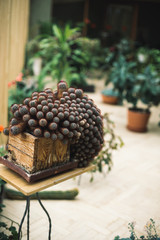 Amazing .unique beautiful  big cactus family, plural cacti or cactuses in wooden pot.