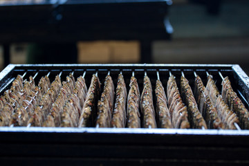 sprat processing factory, cannery plant, preparation of fish