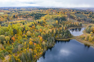 Fototapeta na wymiar Forest in autumn colors. Colored trees and a meandering blue river. Red, yellow, orange, green deciduous trees in fall. Paganamaa, Estonia, Europe