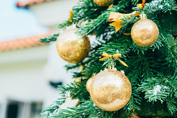 Christmas background. Green fir tree with golden balls. - 303639061