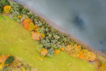 Forest in autumn colors. Colored trees and a meandering blue river. Red, yellow, orange, green deciduous trees in fall. Veclaicene, Latvia, Europe
