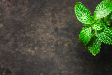 mint, fragrant green petals (food decoration) menu concept. food background. copy space. Top view