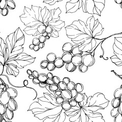 Vector Grape berry healthy food. Black and white engraved ink art. Seamless background pattern. - 303640891