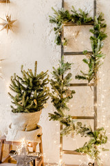 Fototapeta na wymiar Christmas, New Year decor with a Christmas tree in a pot, fir branches and burning garlands. Traditional winter holidays Christmas / New Year. 