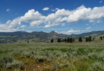 Fototapeta na wymiar Display of the beauty of nature at Yellowstone National Park, Wyoming.