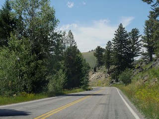 Fototapeta na wymiar Paved winding road with young trees at Yellowstone National Park, Wyoming.
