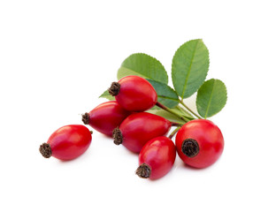 Ripe rose hip isolated on white background