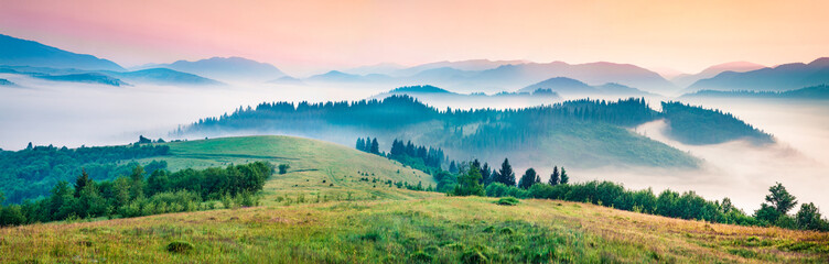 Naklejka na ściany i meble Foggy morning panorama of mountains valley. Splendid summer sunrise in Carpathian mountains, Rika village location, Transcarpathian, Ukraine, Europe. Beauty of nature concept background.