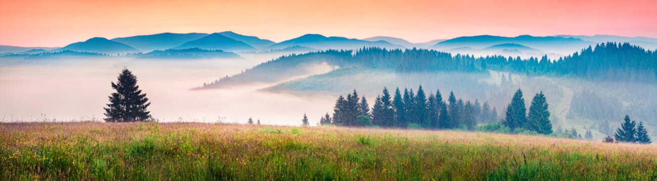 Foggy morning panorama of mountains valley. Picturesque summer sunrise in Carpathian mountains, Rika village location, Transcarpathian, Ukraine, Europe. Beauty of nature concept background.
