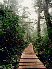 A wooden walkway through the foggy forest