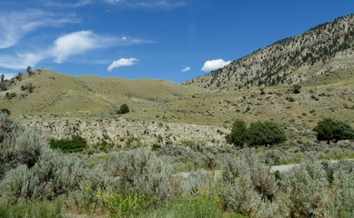 Fototapeta na wymiar Diversified landscape at Yellowstone National Park, near the Montana border.