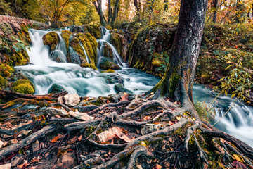 Marvelous morning view of pure water waterfall in Plitvice National Park. Exotic autumn scene of Croatia, Europe. Beauty of nature concept background.