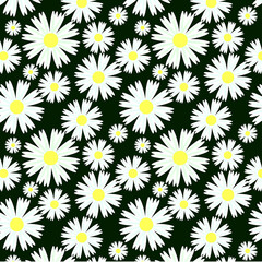 Pattern with daisies.