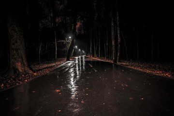 wet road with lanterns in the park after rain at night. gloomy dark landscape of a walkway in a...