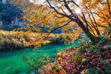 Sunny morning view of pure water river in Plitvice National Park. Stunning autumn scene of Croatia, Europe. Abandoned places of Plitvice lakes series. Beauty of nature concept background.