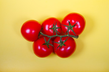 Five red tomatoes on a branch on a yellow background