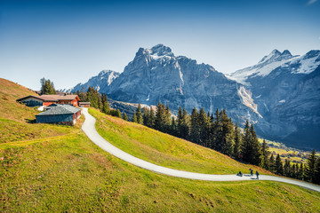 Aerial autumn view of Grindelwald village valley from cableway with Wellhorn peak on background. Gorgeous morning scene of Bernese Oberland Alps, Switzerland, Europe.
