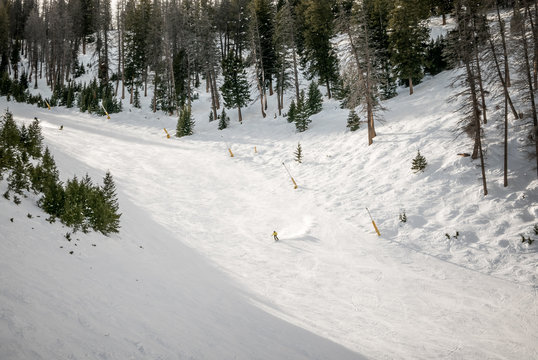 Ski slopes and lifts on a sunny day